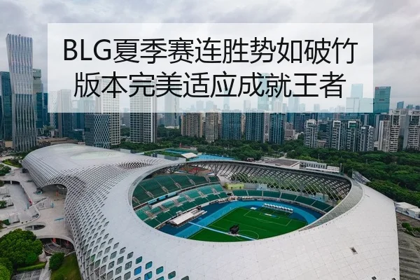 BLG夏季赛连胜势如破竹 版本完美适应成就王者